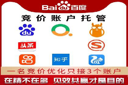 网络推广秘籍：竞价排名成功案例集锦